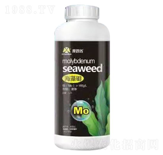 �����f Ħ����