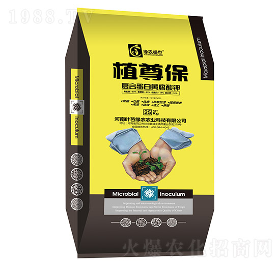 �ͺϵ����S�����-ֲ����-���rʢ��