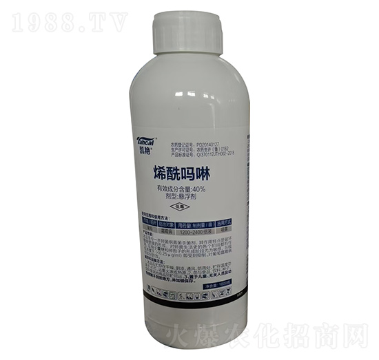 40%ϩ������ �P�G ̩�̻���