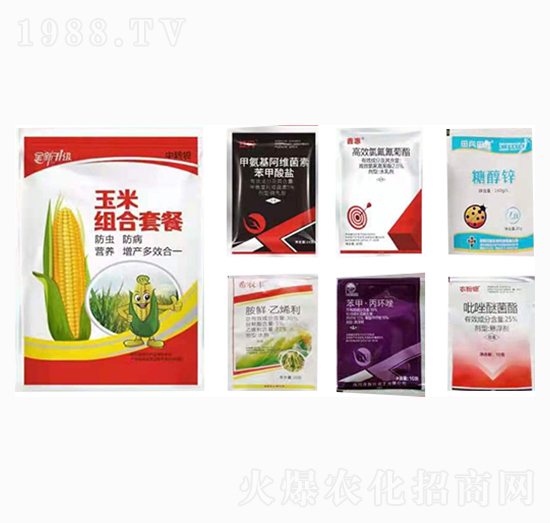 ���׽M���ײ�-�����_