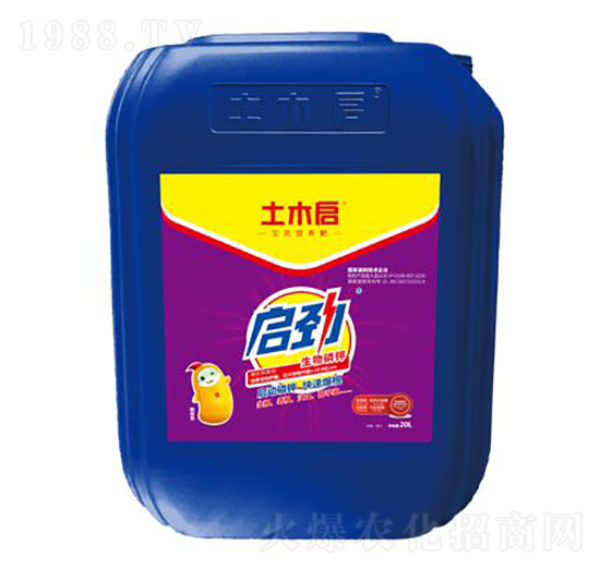 ���� ��ľ������