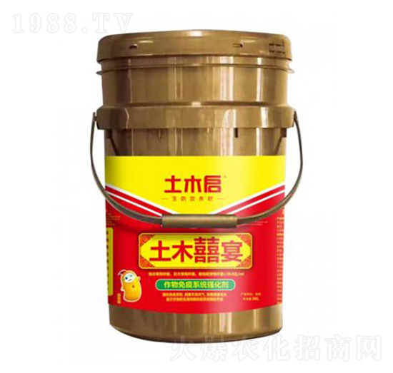 ��ľ���� ��ľ������