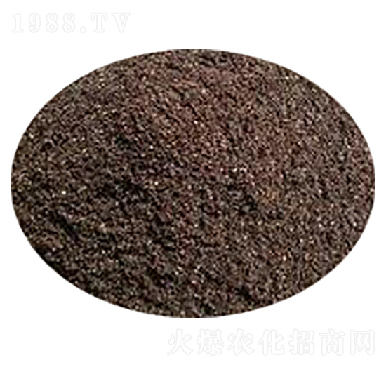 �o��������|(zh��)-�ݸ����B(t��i)