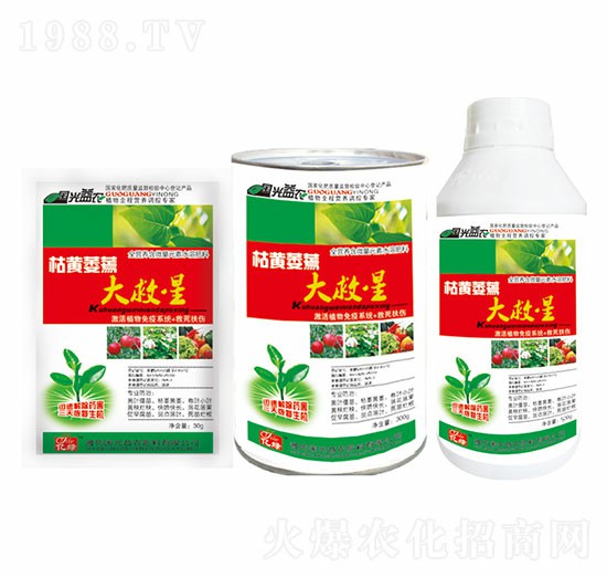 ���Sή������-��(gu��)�����r(n��ng)