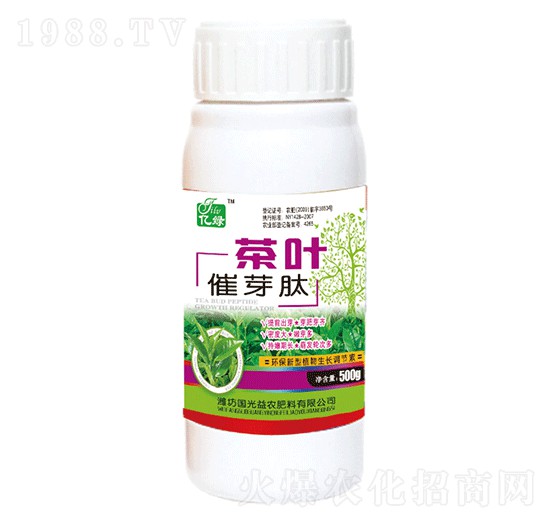 ���~��ѿ��-�������r