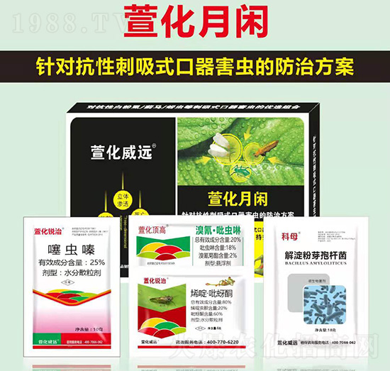 �滯���e-�滯���h(yu��n)