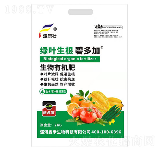 �����ЙC�ʣ��G�~������-�̶��-�𿵉�