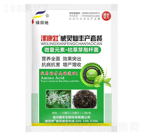 ���`���S�a�ײ�-�𿵉�