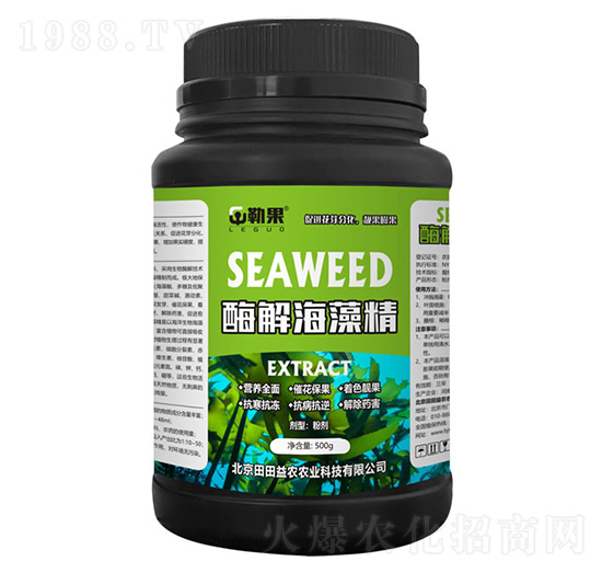 ø�⺣�徫-�չ�-�������r