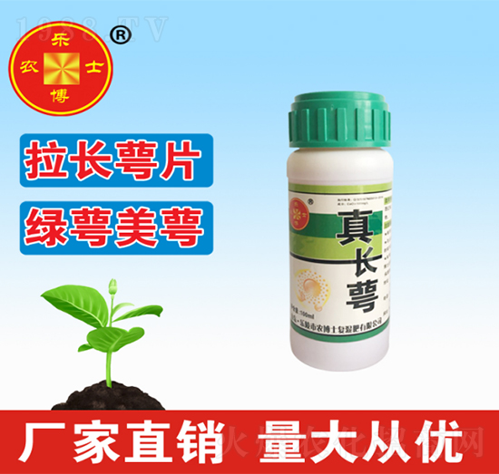 ���L��-���r��ʿ