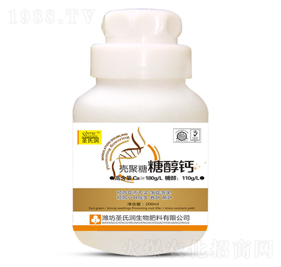 �������Ǵ��}-ʥ�ϝ�(r��n)