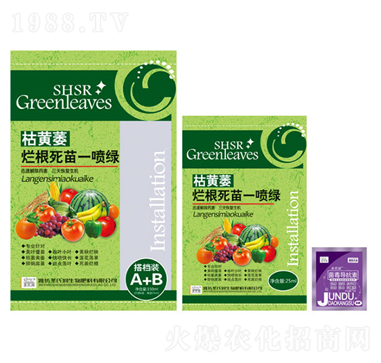 ���Sή��������һ���G-ʥ�ϝ�