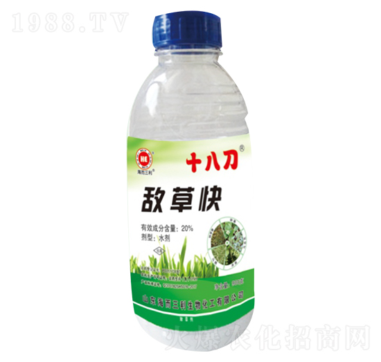 20%���ݿ�-ʮ�˵�-��������