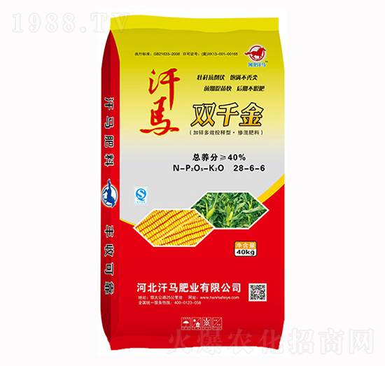 ���\��Ч����͓������28-6-6-�pǧ��-���R�ʘI(y��)