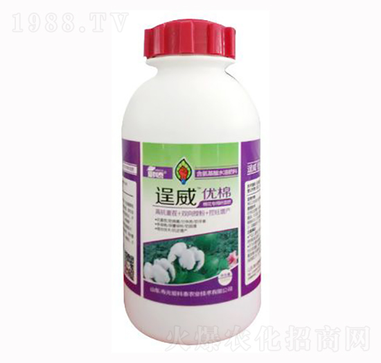 �������(l��i)�~���-������(y��u)��-��(��i)��̩