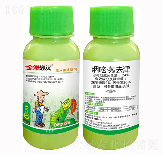 24%����ݬȥ��-���z�Нh-���˸�