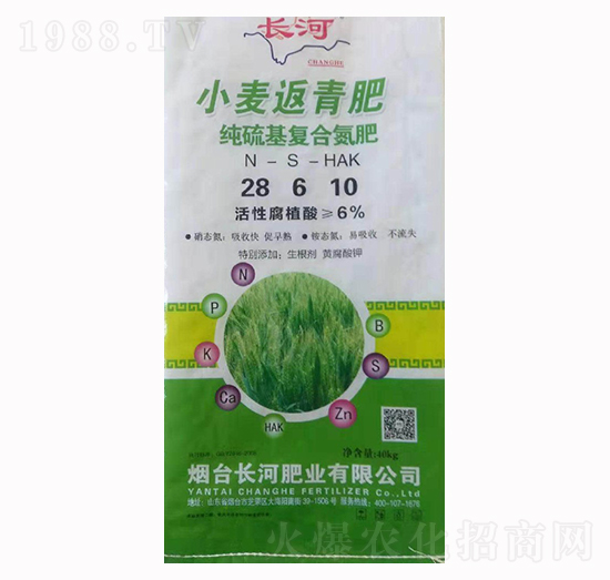 С�������28-6-10-�L(zh��ng)��