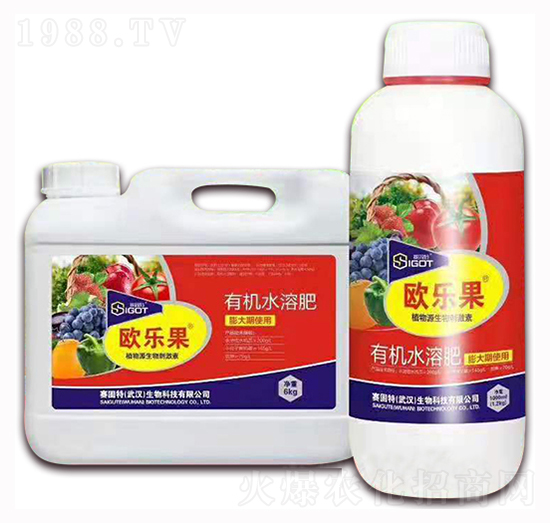 С���������ÚW��(l��)��-ِ����