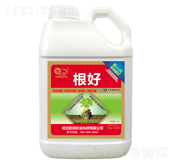 ����-�����r(n��ng)�I(y��)