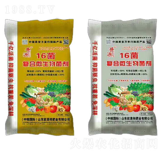 ��(f��)��΢�������-16��-��������