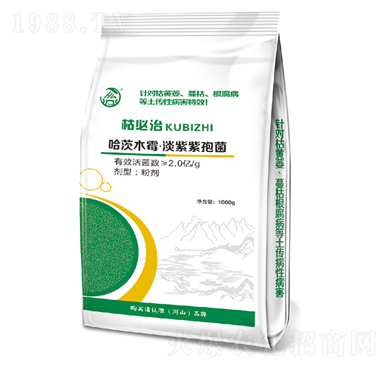 ���/������������-�ݱ���-��ʢ��ɽ