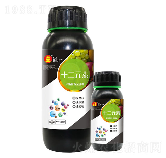 ʮ��Ԫ��-�T���S����