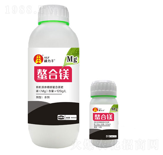 �����V��-�T���S����