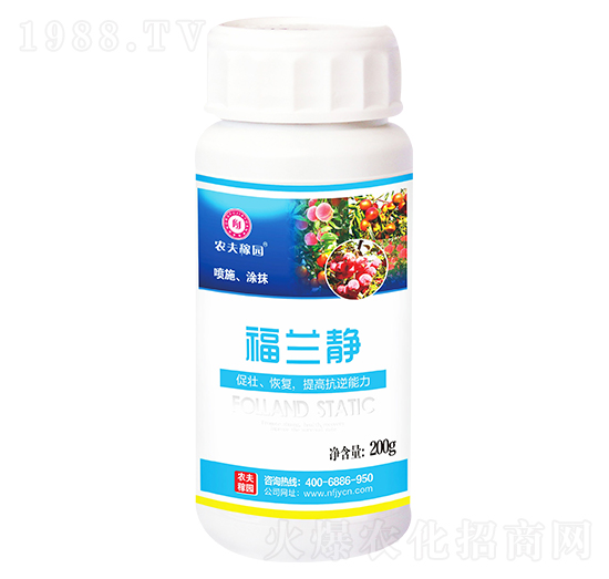 ���m�o��200g��-�r��ڈ@