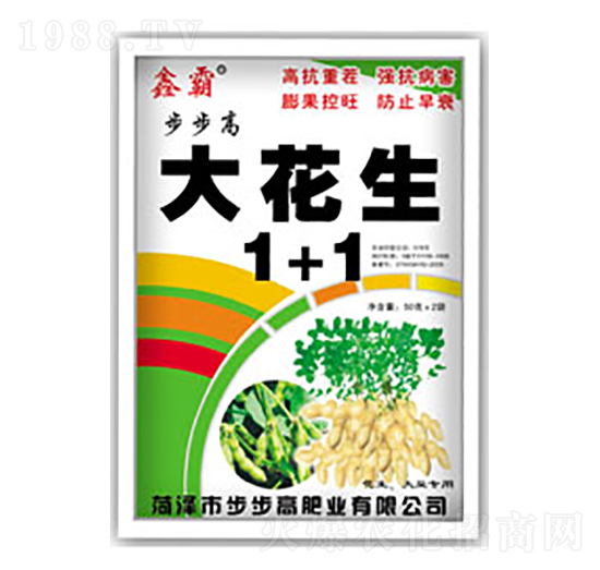 ����1+1-������-�ΰ�-�����߷ʘI(y��)