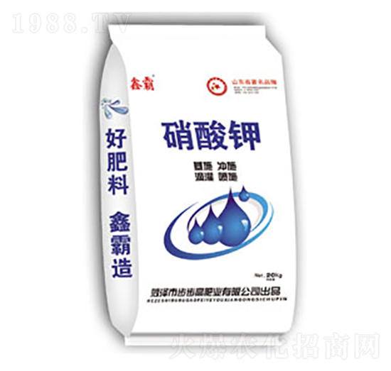 �����-�ΰ�-�����߷ʘI(y��)