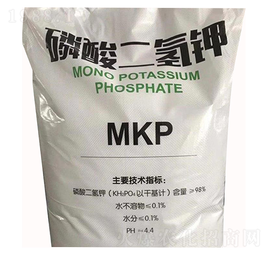 98%�������-��S���I(y��)