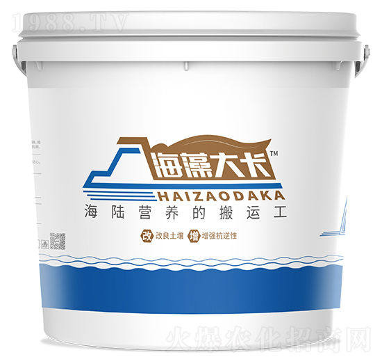 �����-�{����