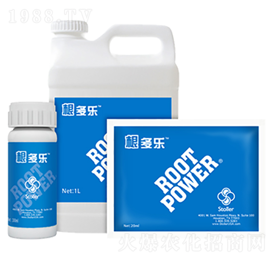 ������-������