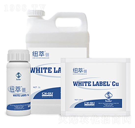 �~���~-������(l��)