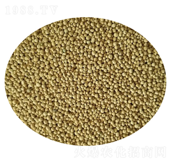 ȫ�I(y��ng)�B(y��ng)����ጷ�-�����Ƽ�