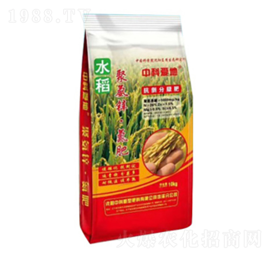 �۰��\������-�пƐ۵�-�п�