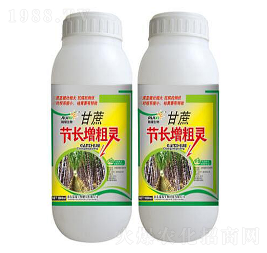 ���ṝ(ji��)�L���ַ�-���a����