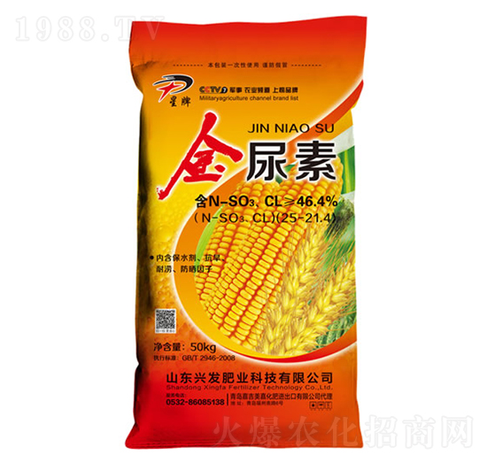 ������-����-�d�l(f��)�ʘI(y��)