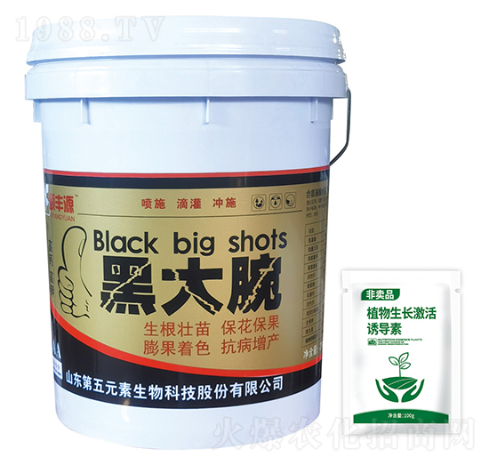 �ڴ���-�U�SԴ-����Ԫ��