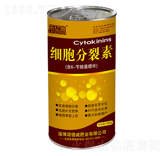 ��(x��)��������-���|ʩ-�Z����