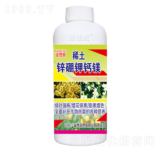 ϡ���\����}�V-�Z����