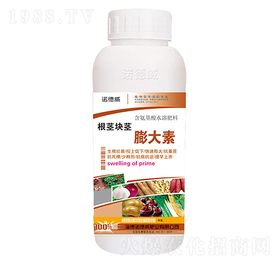 ���o�K�o�����-�Z����