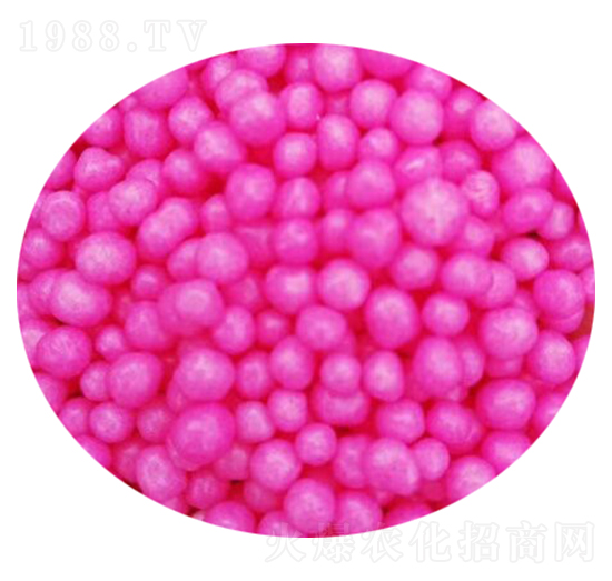 ��ጷ��w��-��˼�r(n��ng)