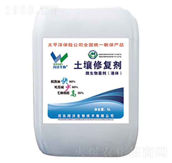 �����ޏ̈́�-�c������