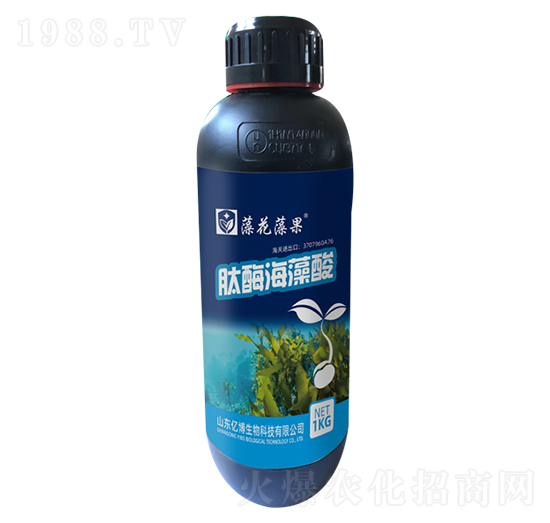 ��ø������-�廨���-�|������