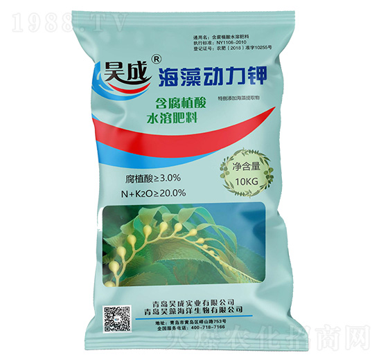 �������⛣��ۄ���-껳Ɍ��I(y��)