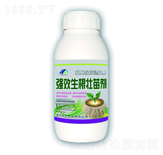 ��(qi��ng)���������焩-����ʘI(y��)