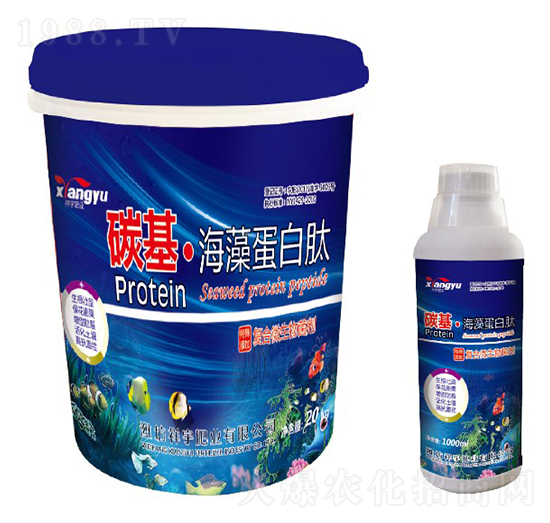 ̼�������嵰����-����ʘI(y��)