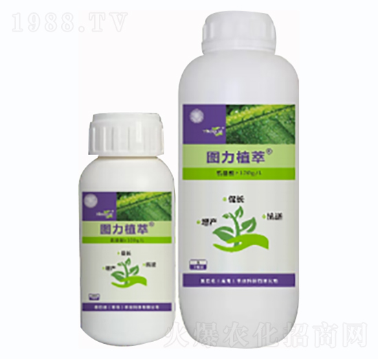 ֲ�����L�̼���-�D��ֲ��-�D�͵�