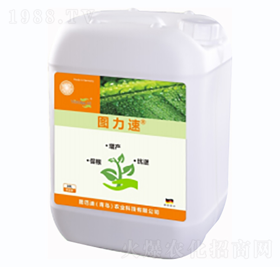 �D����-�D�͵�